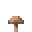Brauner Pilz