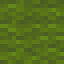 Grüne Wolle